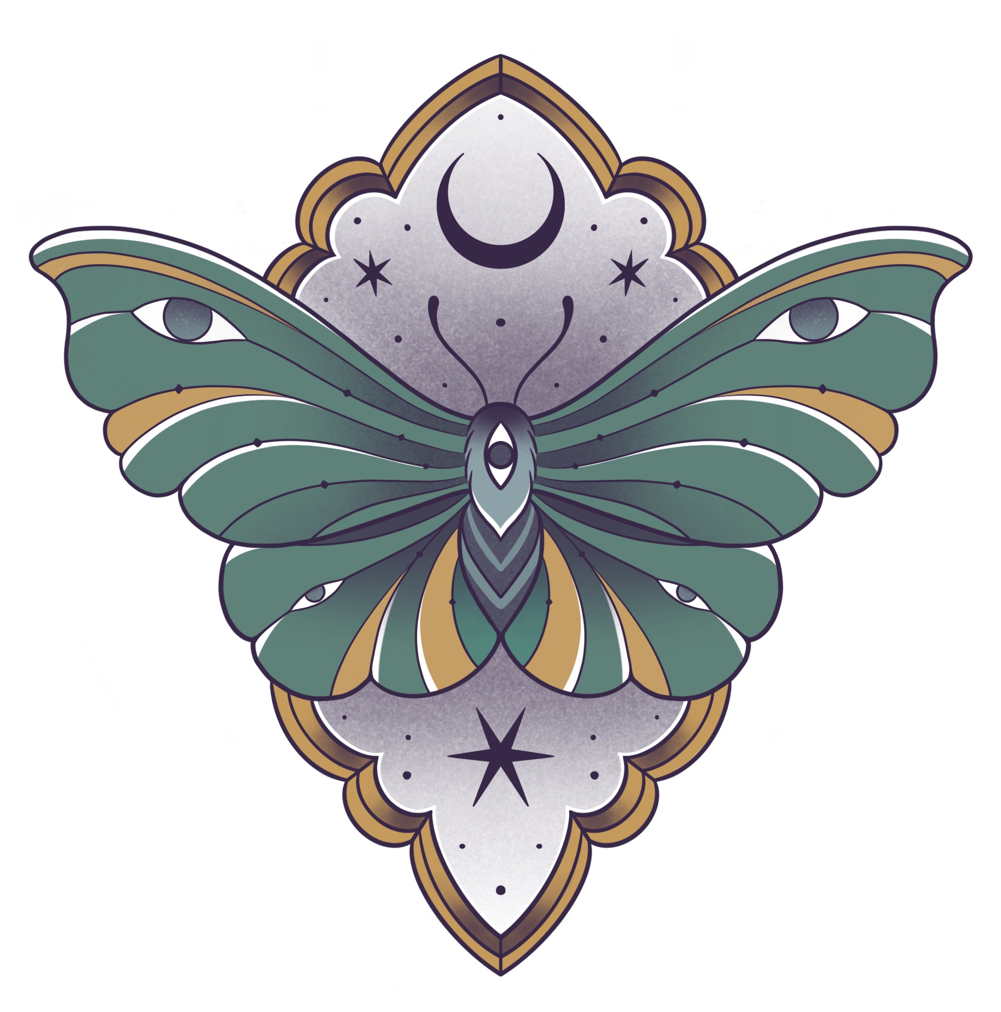 All seeing moth